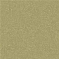 Matara Eco Olive