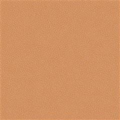 Matara Eco Brick