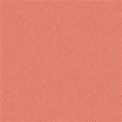 Matara Eco Coral