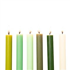 Spring Greens Dining Candles Set of 12