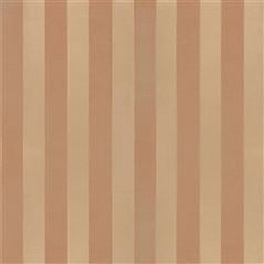 Cassien Terracotta