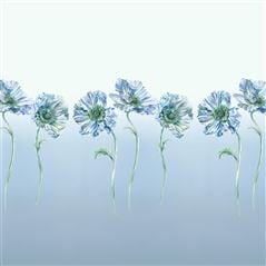 Coquelicot Delft