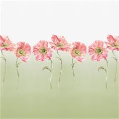 Coquelicot Sage