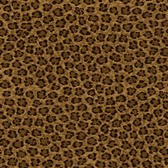 Ogden Leopard Varnish