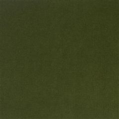 yvette - forest