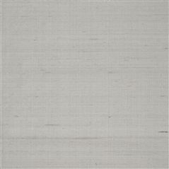 regent taffeta - silver
