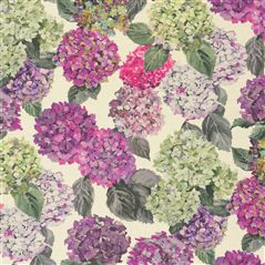 sudara lino - magenta
