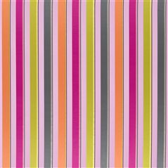 archimia - fuchsia