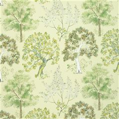 arboretum - parchment