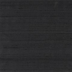 regent taffeta - ebony