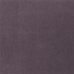 royal velvet - graphite