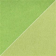 moleskine - absinthe