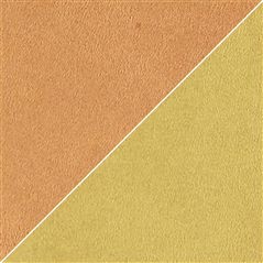 moleskine - mandarine