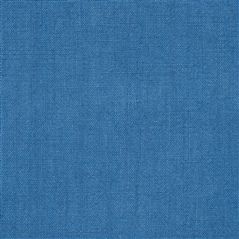 coutil - bleuet