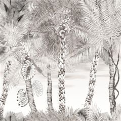 croisette - nacre
