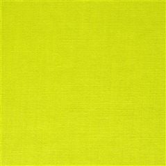 coutil - chartreuse