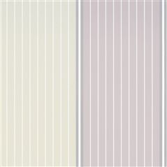 Fitzwilliam Crocus Purple Wallpaper