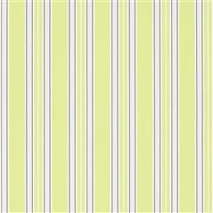 pinstripe - lime