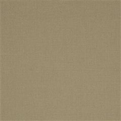 manzoni - birch