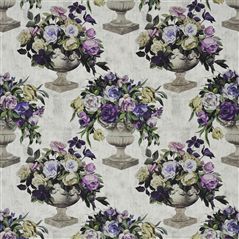 Rugosa II - Amethyst 