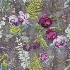tulipani - amethyst