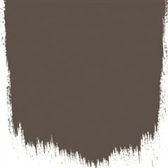 Cocoa Bean  Cocoa Bean Brown Paint