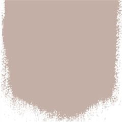 Pale Birch Pale Birch Brown Paint