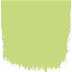 Lime Tree Lime Tree Vert Peinture