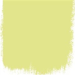 Alchemilla Alchemilla Jaune Peinture