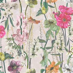 Masson - Fuchsia