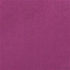 Ampara Magenta