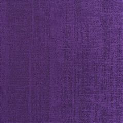 Ampara Violet