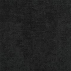 Ampara Onyx