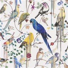 Birds Sinfonia Perce Neige
