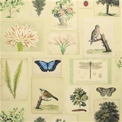 Flora And Fauna Parchment