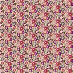 Varietes De Gloxinia Violet