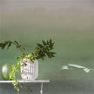 Plain and textured Designers Guild wallpaper for s