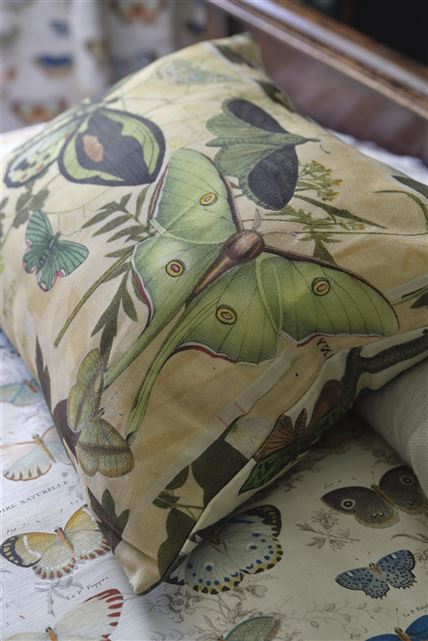 Shop John Derian