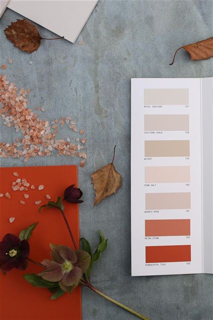 Shop Paint