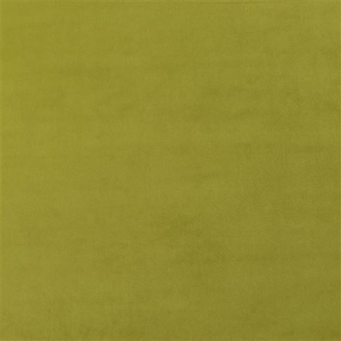 Dennise Lime