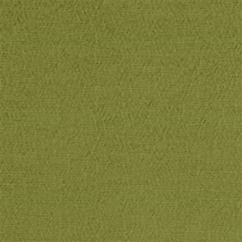Anshu Leaf