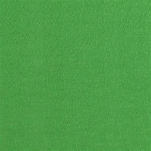 Anshu Emerald