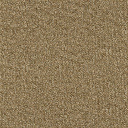 Vezzano Seagrass