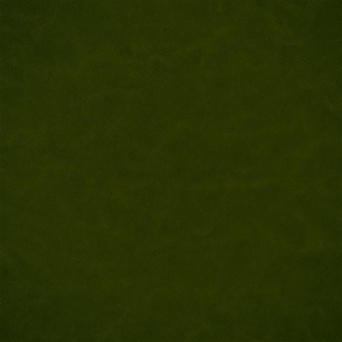 Matara Lucida Olive