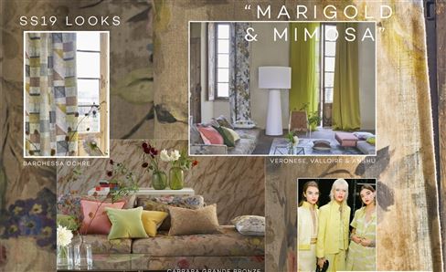 Trend: Marigold & Mimosa