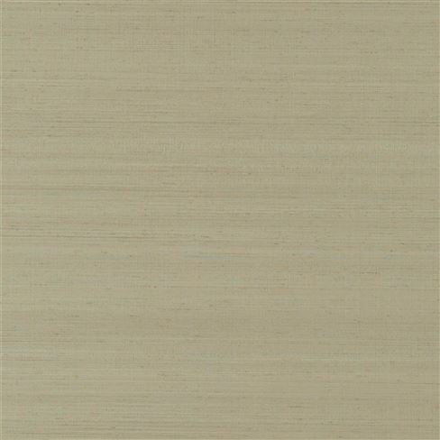 Chinon Birch