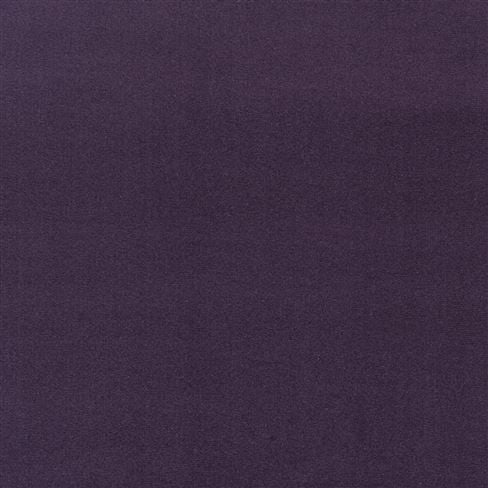 Riding Velvet - Purple