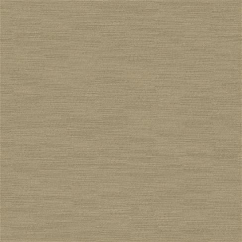 Pampas Walnut