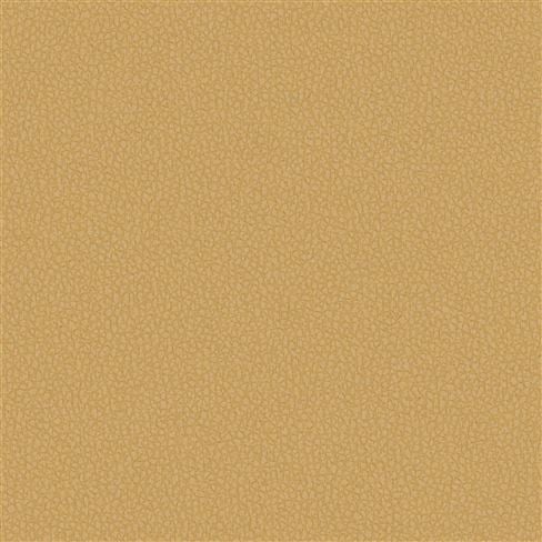 Matara Eco Mustard