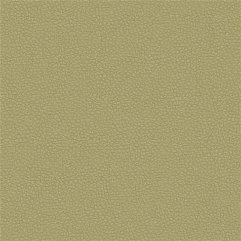 Matara Eco Olive